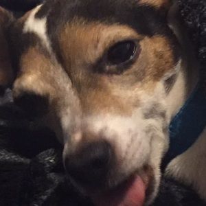 Meet your Posher, Jacob